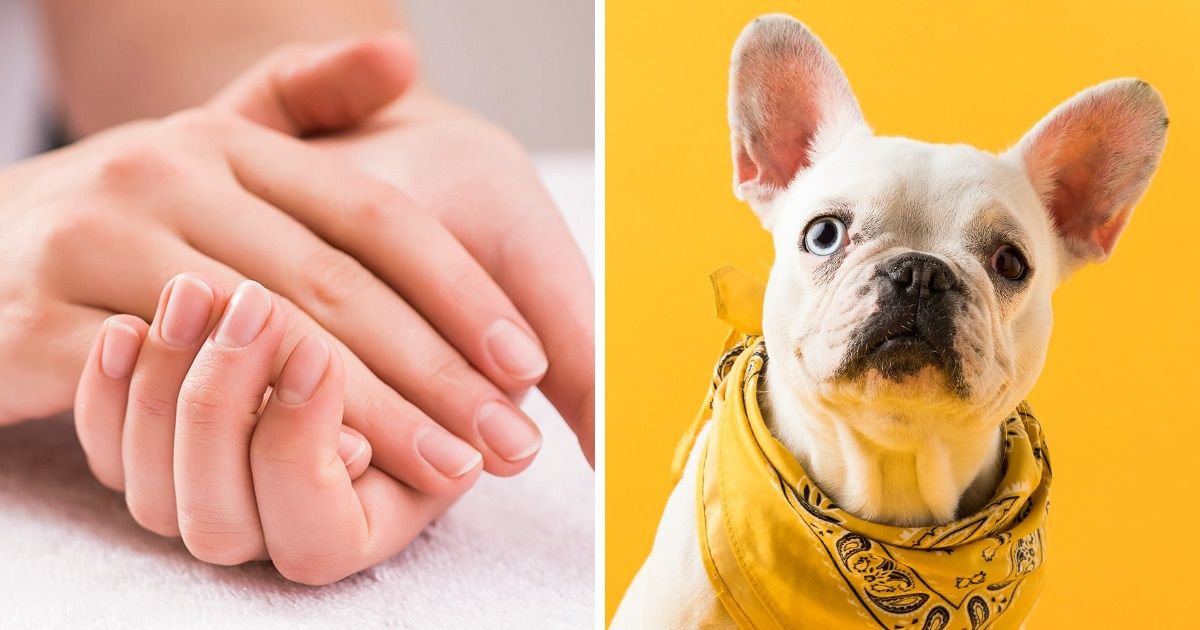 7 Cosas que equivocadamente considerábamos franceses (sentimos más que nada por para el beso francés) 7 Cosas que equivocadamente considerábamos franceses (sentimos más que nada por para el beso francés)