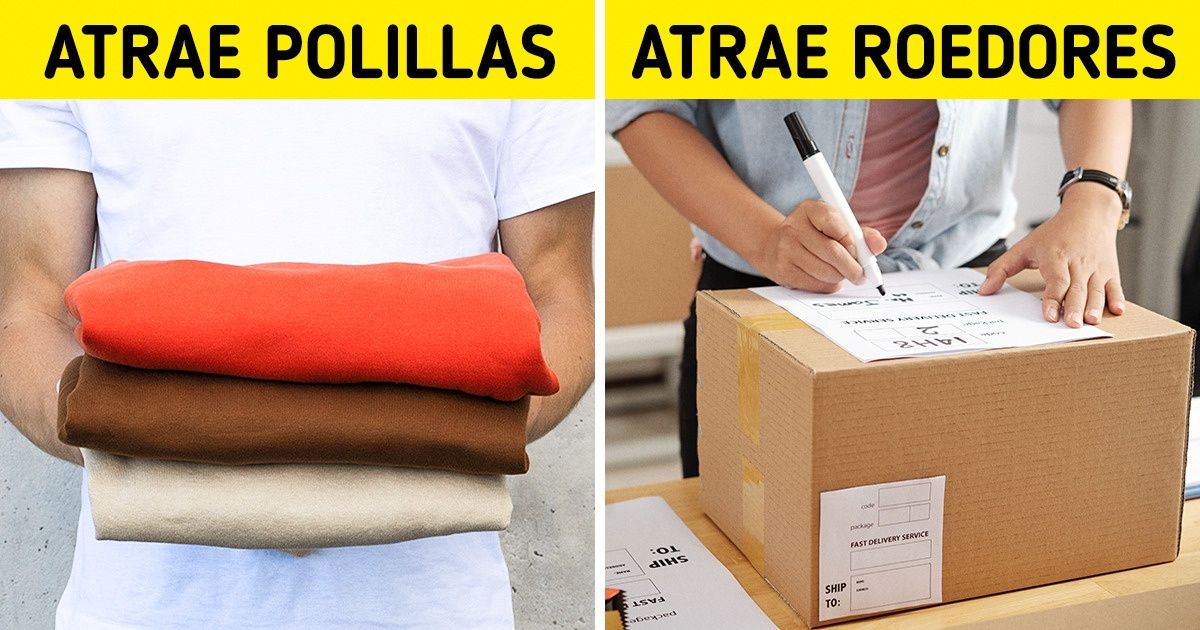 11 Objetos que probablemente almacenamos en el desván y se pueden estropear por ello 11 Objetos que probablemente almacenamos en el desván y se pueden estropear por ello