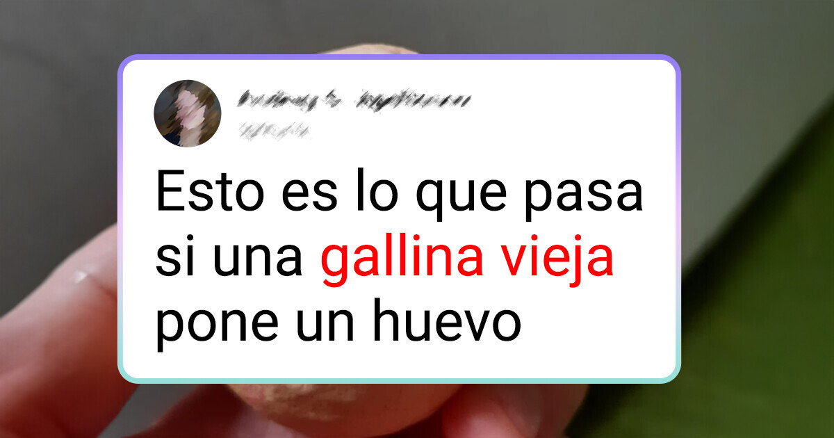 15+ Imágenes de pruebas caseras que terminaron siendo muy entretenidas