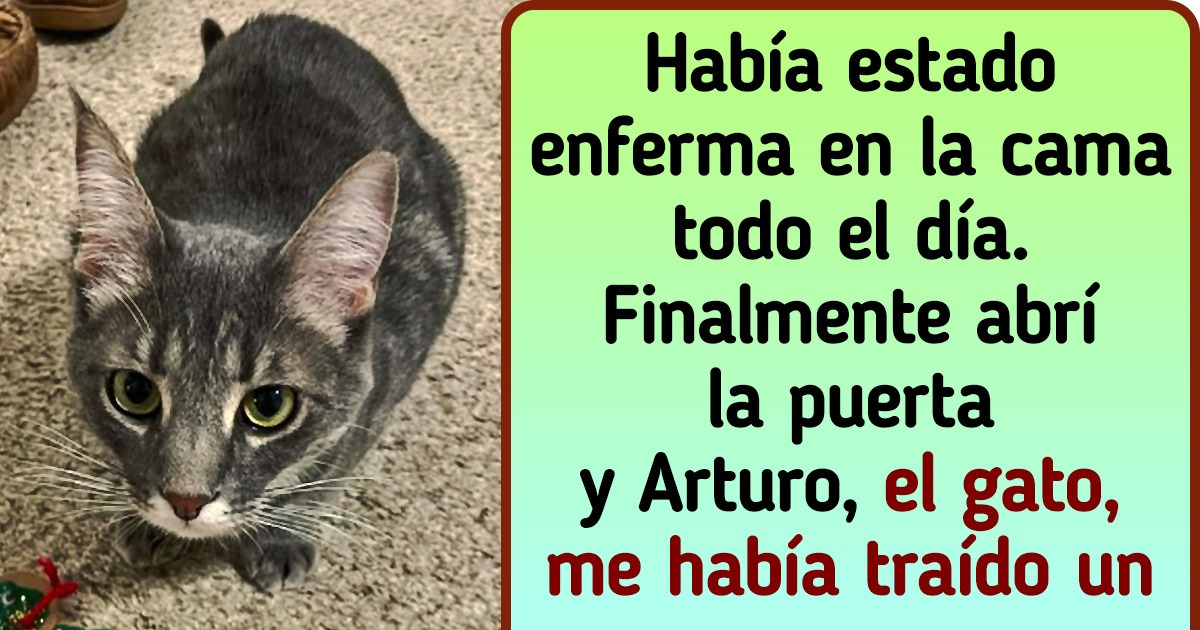 21 Mascotas que demuestran con acciones que ellas también cuidan de sus humanos 21 Mascotas que demuestran con acciones que ellas también cuidan de sus humanos