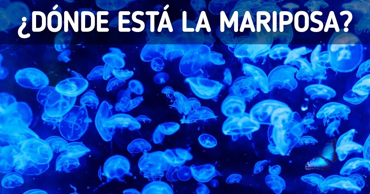 12 Acertijos visuales que desafiarán tus ojos