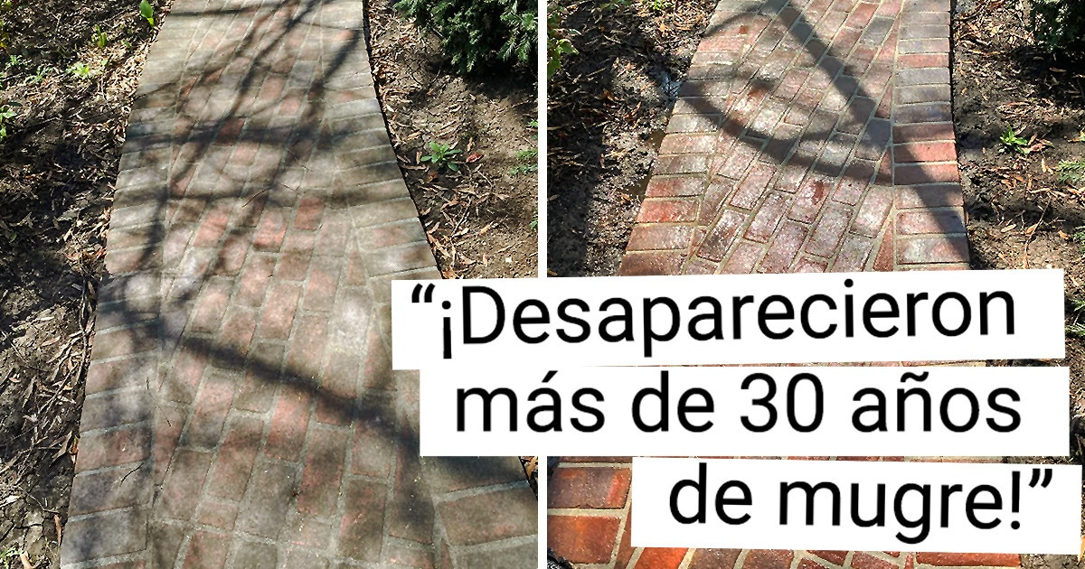 22 Personas que se empeñaron en limpiar su hogar hasta sacar músculo
