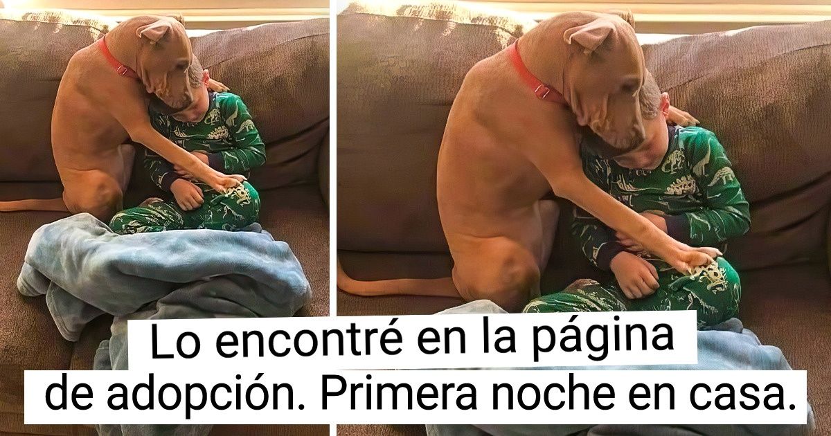20 Personas y sus mascotas que parecen haber sido creadas las unas para las otras