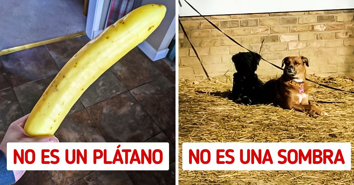 15 Fotos que demuestran que no todo es lo que parece 15 Fotos que demuestran que no todo es lo que parece
