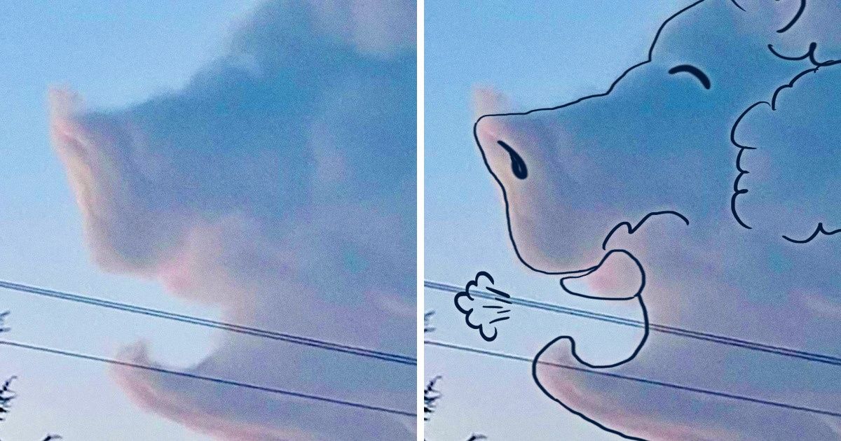16 Imágenes en las que el cielo se vuelve un escenario y las nubes son las actrices protagónicas 16 Imágenes en las que el cielo se vuelve un escenario y las nubes son las actrices protagónicas