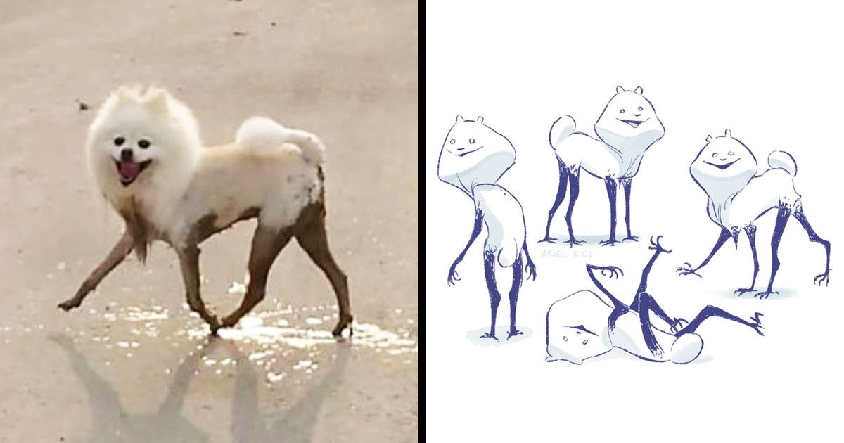 20 Historias divertidas de dueños de perros que te harán desear tener una mascota así