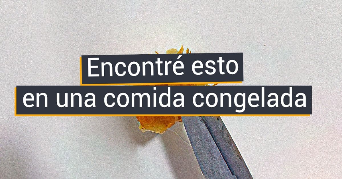 23 Hallazgos sobre los cuales los usuarios de redes se han preguntado durante días