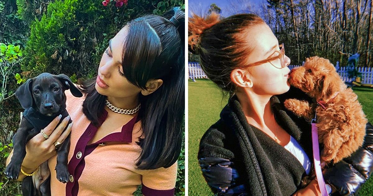 15+ Famosos que prefirieron rescatar perros en lugar de comprarlos (y les dieron una vida de reyes)