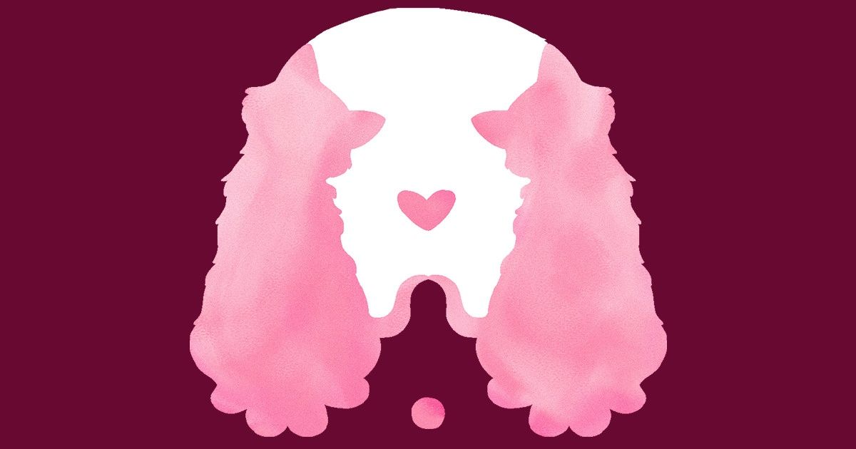 La imagen que viste primero revela lo que es realmente importante para ti en el amor La imagen que viste primero revela lo que es realmente importante para ti en el amor