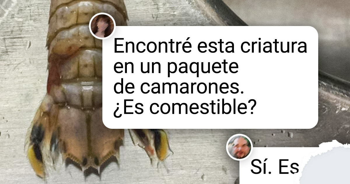 20+ Habitantes del océano que parecen criaturas de películas de ciencia ficción
