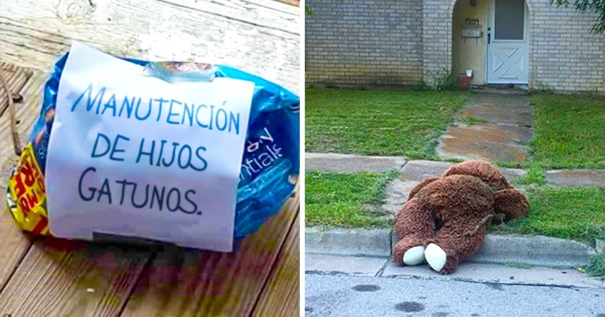 16 Pruebas visuales de que tener un vecino puede ser bastante divertido 16 Pruebas visuales de que tener un vecino puede ser bastante divertido