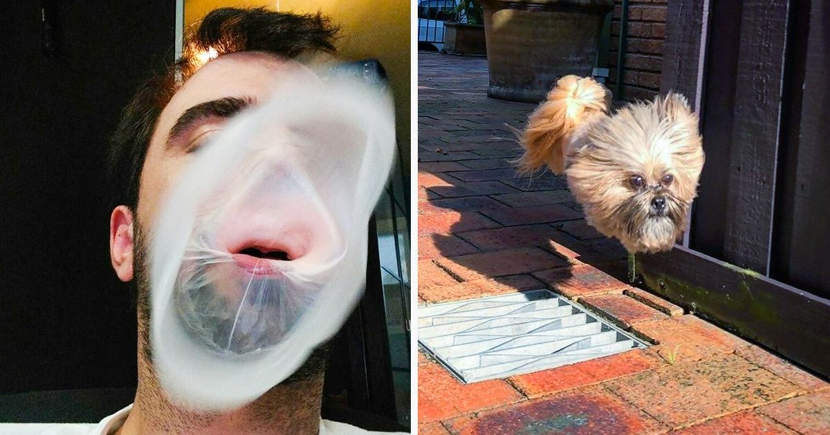 33 Fotos que demuestran que capturar el momento correcto es esencial para lograr una buena imagen