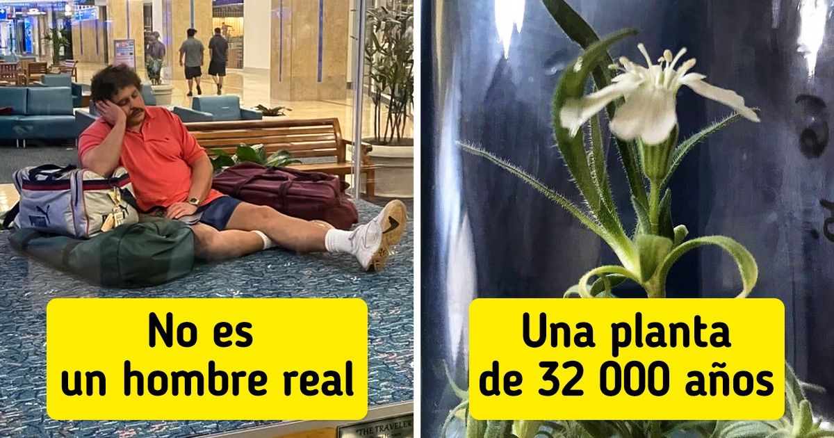 14 Cosas que no sabíamos que existían y que ahora no podemos olvidar / Genial 14 Cosas que no sabíamos que existían y que ahora no podemos olvidar / Genial