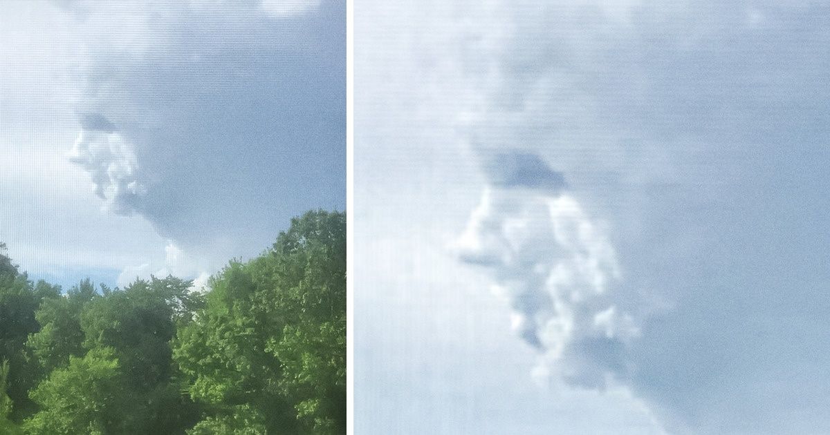 17 Maneras en que la naturaleza nos sorprendió cuando creíamos haber visto todo 17 Maneras en que la naturaleza nos sorprendió cuando creíamos haber visto todo