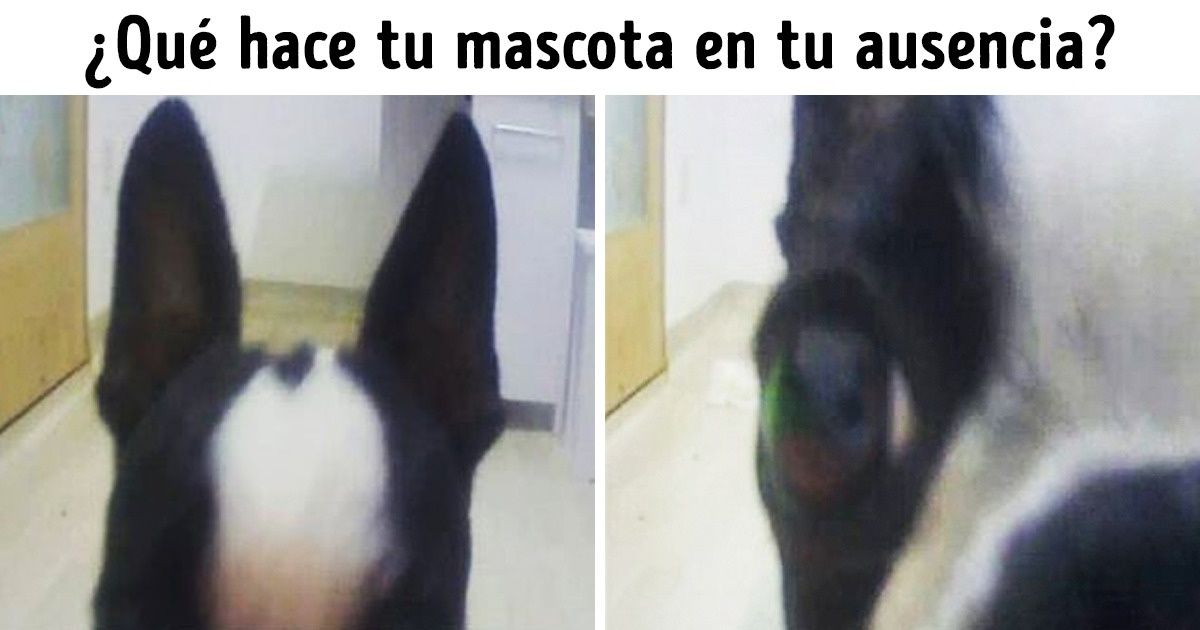 12 Razones para no tirar tu teléfono viejo, sino usarlo de otra manera