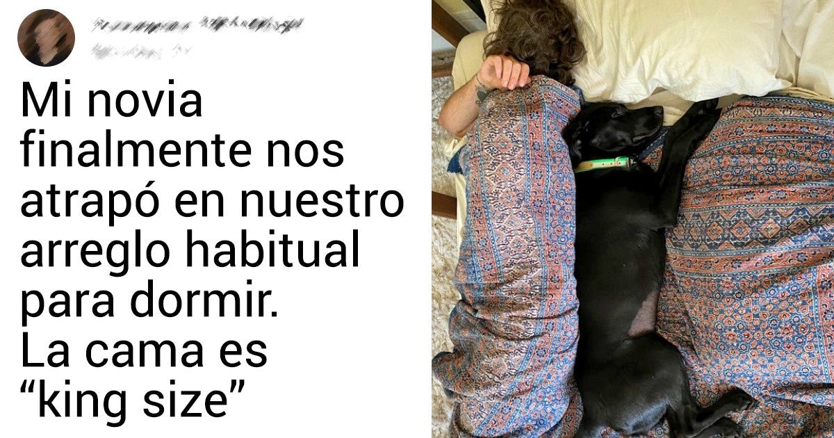 Los seres humanos que fueron captados durmiendo profundamente con sus mascotas en estas 16 fotos Los seres humanos que fueron captados durmiendo profundamente con sus mascotas en estas 16 fotos