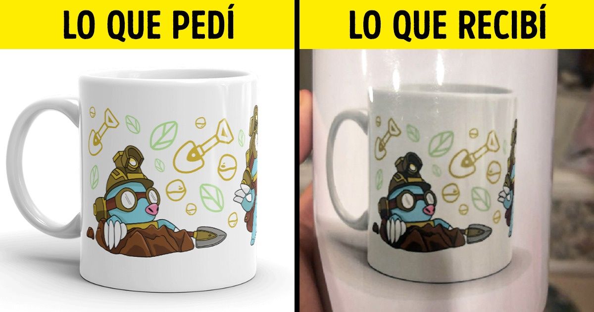 15 Perezosos sin remedio que podrían hacerte sentir como un arduo trabajador 15 Perezosos sin remedio que podrían hacerte sentir como un arduo trabajador