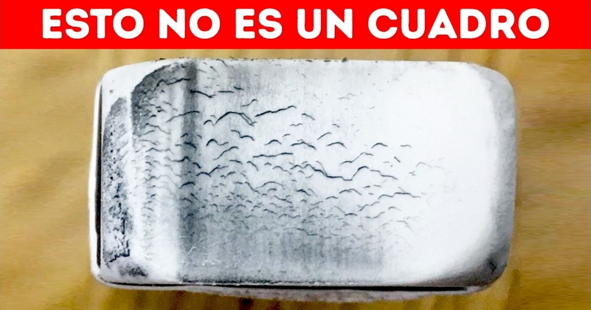 22 Fotos que te harán mirar dos veces