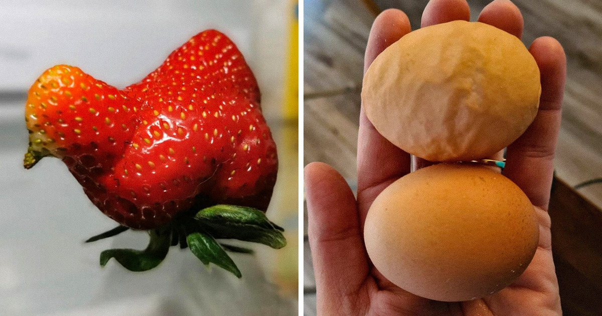 20+ Imágenes que comprueban que la magia está en el día a día, solo hay que saber encontrarla