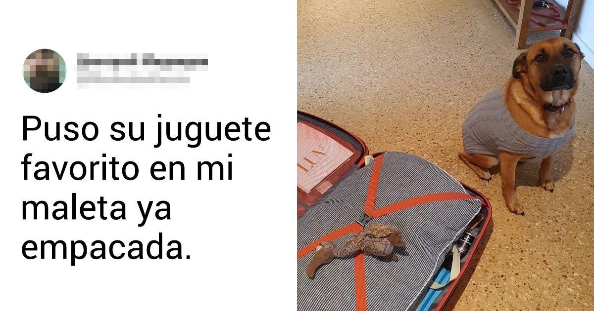 17 Fotos que prueban que nuestros perros pueden enseñarnos mucho sobre el amor genuino