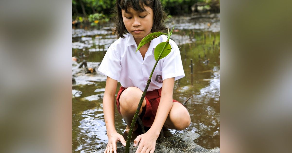En Filipinas se aprobó una ley que obliga a los estudiantes a plantar 10 árboles para poder graduarse En Filipinas se aprobó una ley que obliga a los estudiantes a plantar 10 árboles para poder graduarse