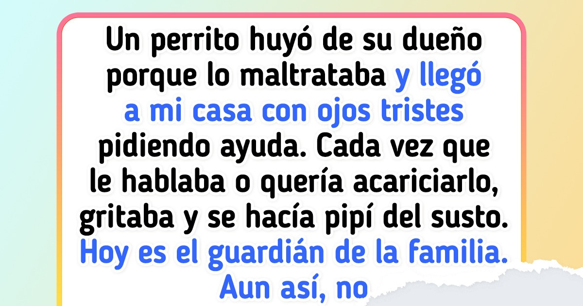 20 Lectores de Genial cuentan cómo hacer para que un perrito rescatado de la calle se adapte a su nuevo hogar 20 Lectores de Genial cuentan cómo hacer para que un perrito rescatado de la calle se adapte a su nuevo hogar