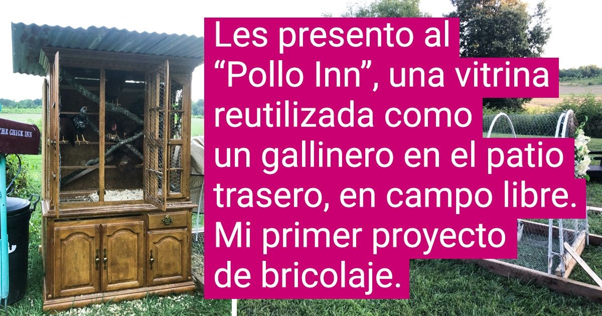 15+ Personas que construyeron un hogar para sus gallinas y no quedó como querían, sino mejor 15+ Personas que construyeron un hogar para sus gallinas y no quedó como querían, sino mejor