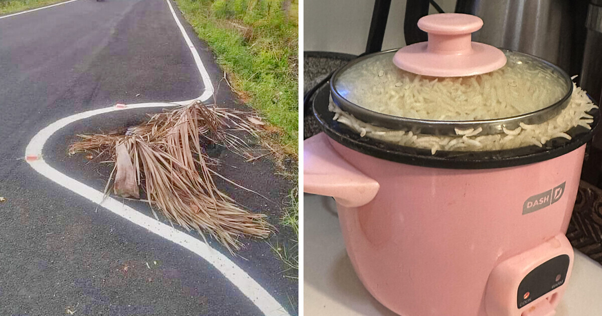 18 Veces que la gente arruinó su único trabajo de la forma más divertida posible