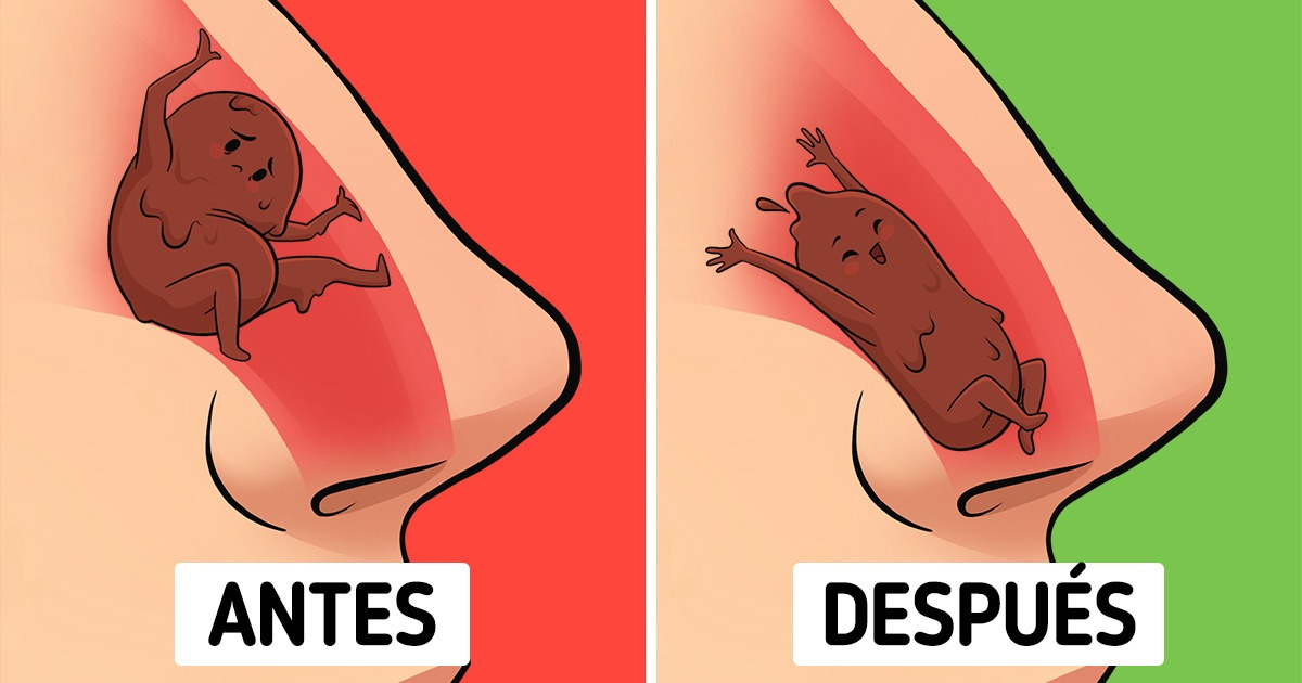 Qué puede sucederles a nuestro cuerpo y mente si nos bañamos todos los días