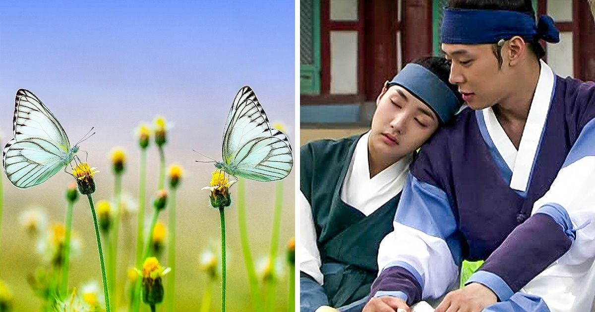 ¿Conoces la leyenda de los amantes mariposa? ¿Conoces la leyenda de los amantes mariposa?