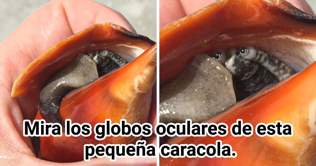 14 Personas que notaron algo extraño y no pudieron pasarlo por alto