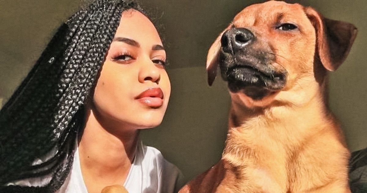 25+ Animales que imitan a los humanos tan bien que deberían tener carnet de identidad