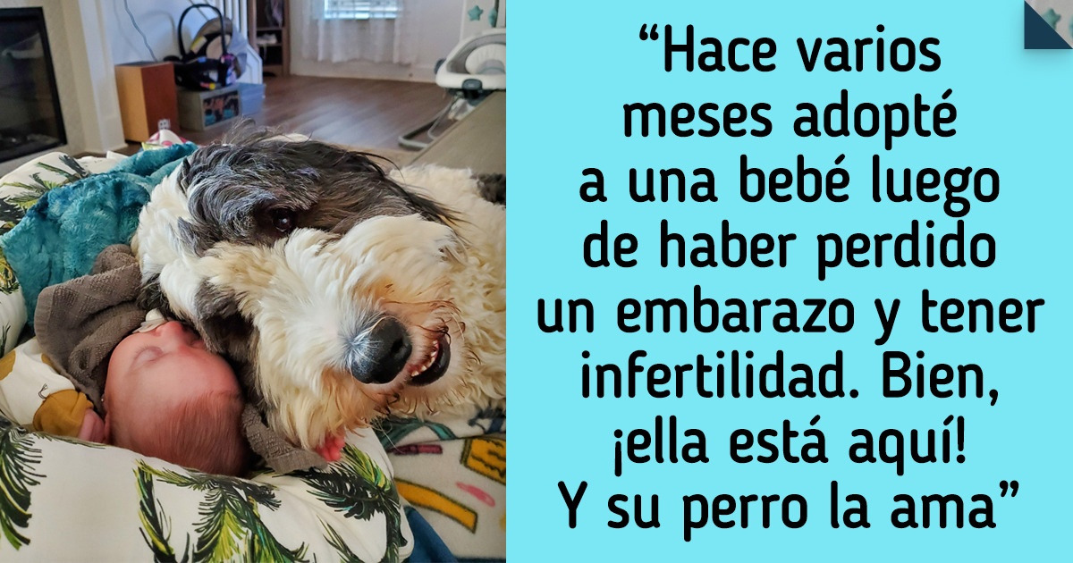 18 Ejemplos de que la bondad se encuentra en los actos más sencillos