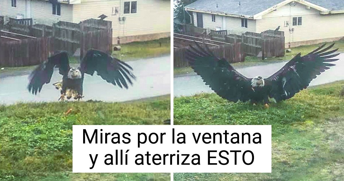 18 Animales cuya apariencia parece gritar que no son de nuestro planeta 18 Animales cuya apariencia parece gritar que no son de nuestro planeta