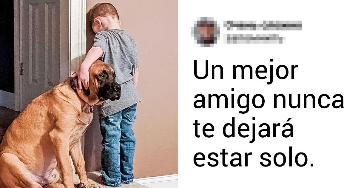 16 Pruebas conmovedoras de que nuestras mascotas ciertamente estarán con nosotros en las buenas y en las malas 16 Pruebas conmovedoras de que nuestras mascotas ciertamente estarán con nosotros en las buenas y en las malas