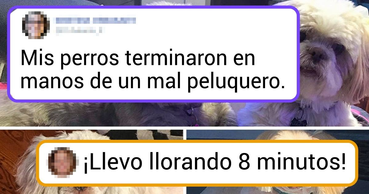 20+ Personas que se enfrentaron a un mal trabajo tan descarado que solo queda sentir pena por ellos 20+ Personas que se enfrentaron a un mal trabajo tan descarado que solo queda sentir pena por ellos