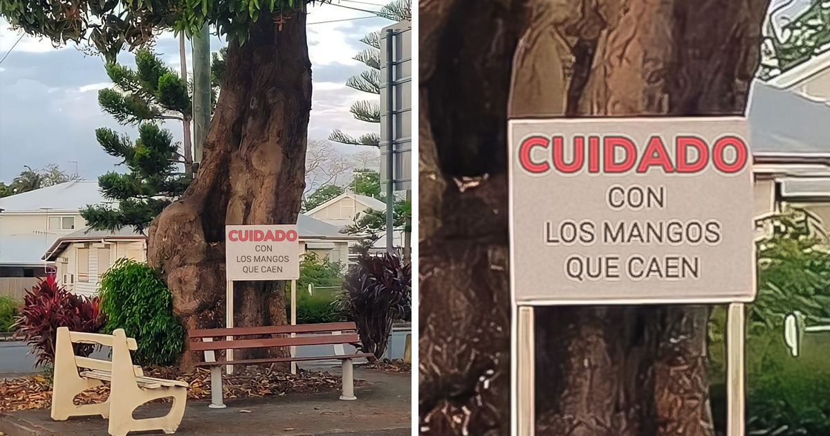 20+ Pruebas de que hay cosas que solo ocurren en Australia