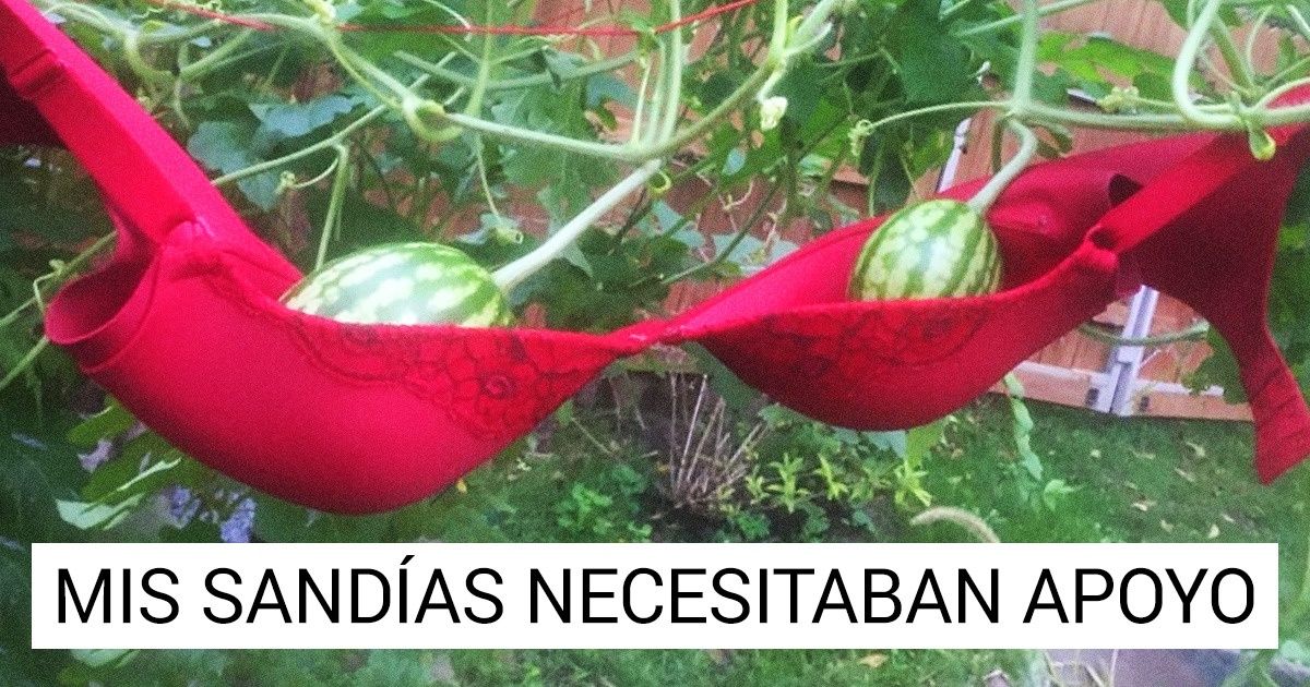 20 Personas que resolvieron brillantemente sus problemas al pensar de una manera innovadora 20 Personas que resolvieron brillantemente sus problemas al pensar de una manera innovadora