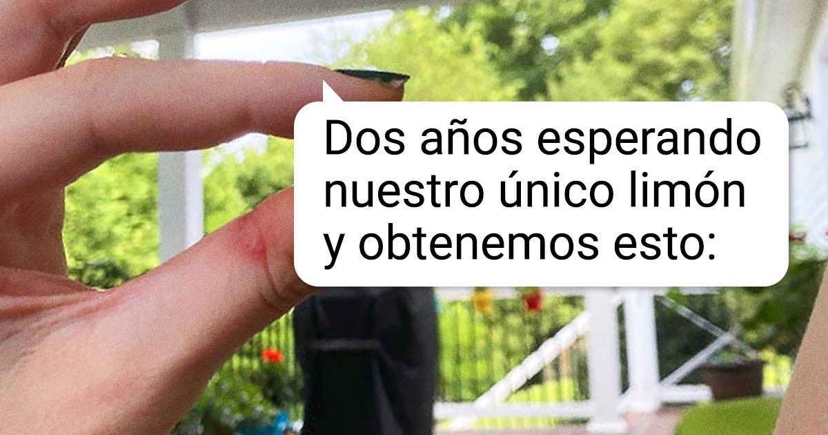 20 Personas que probablemente no podrían ganarse la vida como agricultores