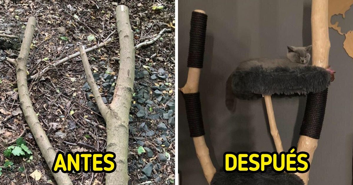 20 Objetos que parecían basura pero se transformaron en un espacio cómodo para gatos 20 Objetos que parecían basura pero se transformaron en un espacio cómodo para gatos