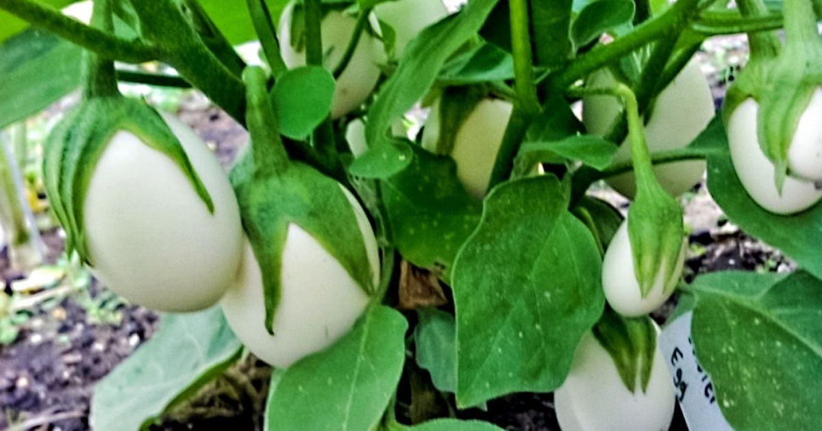 20 Fotos que jugarán con tu imaginación porque no son lo que parecen