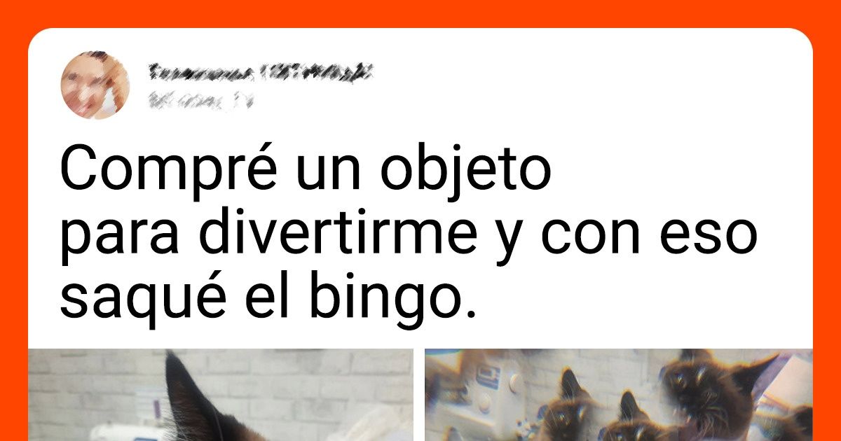 16 Personas que obtuvieron algo con lo que soñaban y ahora están felices