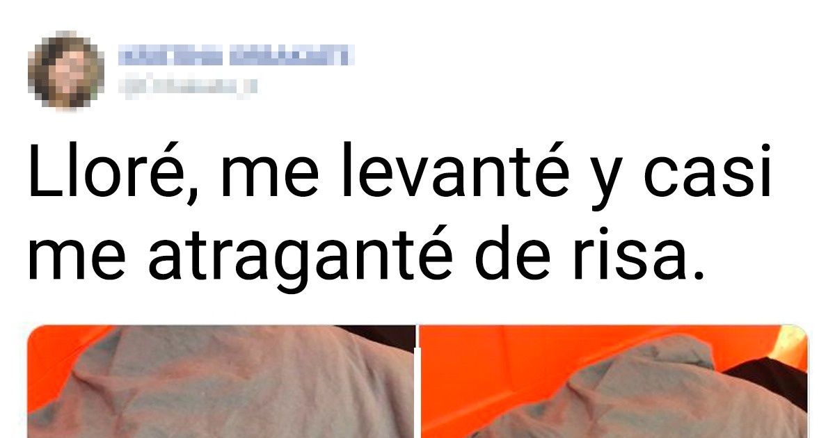 17 Casos en que el nivel de autoironía superó todos los límites imaginables