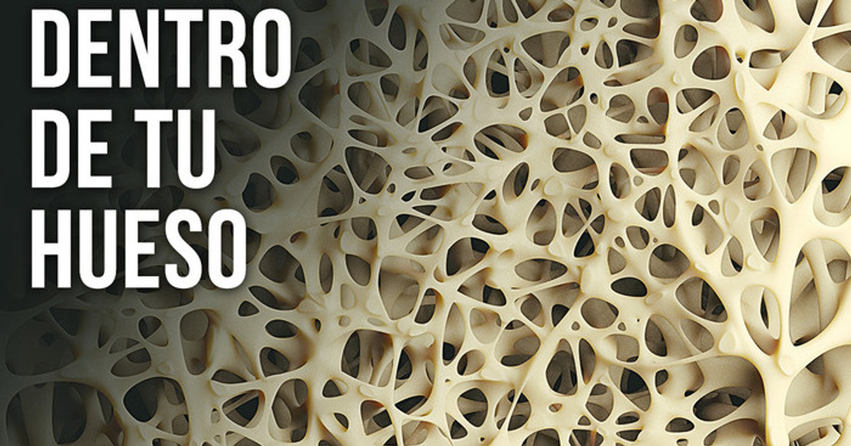 Estás con vida gracias a este pequeño hueso Estás con vida gracias a este pequeño hueso