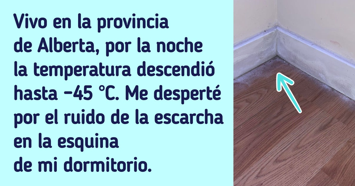 17 Fotos invernales que dan ganas de ponerse calcetines y no salir de casa