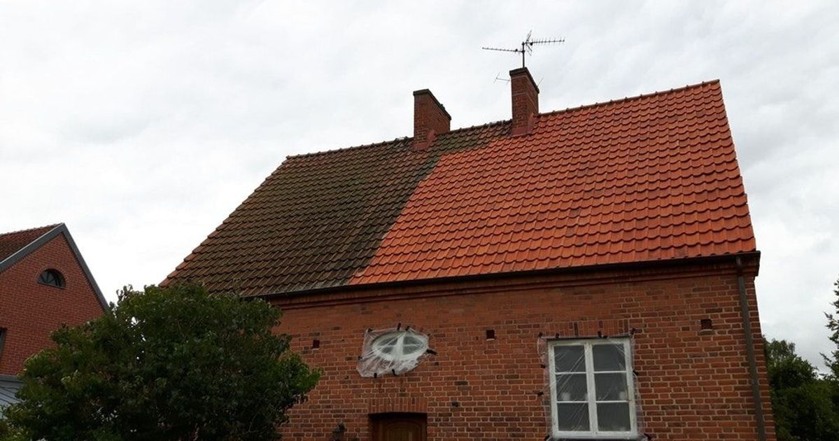 15 Fotos que te darán ganas de limpiar todo