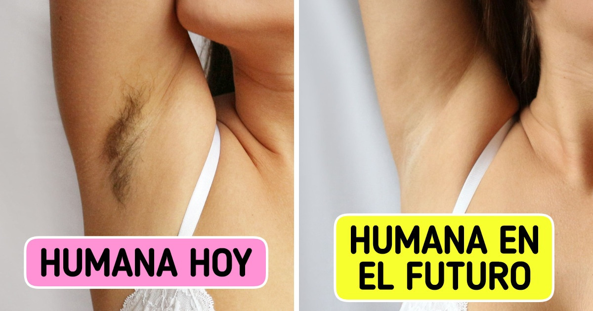 10 Partes del cuerpo que podrían desaparecer o cambiar en las siguientes generaciones 10 Partes del cuerpo que podrían desaparecer o cambiar en las siguientes generaciones