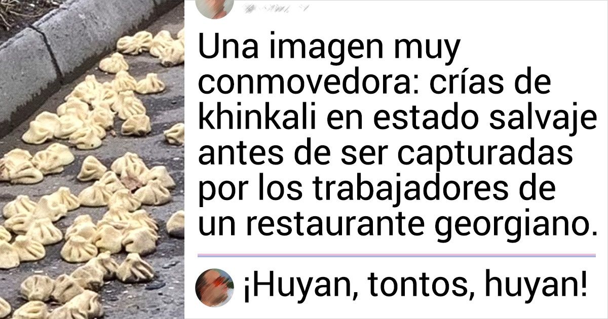 13 Comentarios ocurrentes que dieron justo en el blanco y nos provocaron un ataque de risa