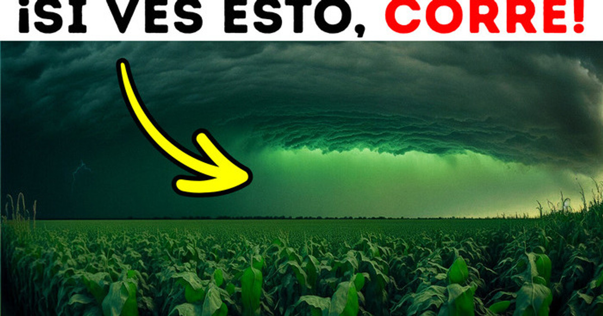Si ves que el cielo se vuelve verde, busca refugio rápido Si ves que el cielo se vuelve verde, busca refugio rápido