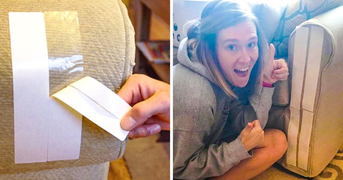 8 Formas simples pero efectivas de proteger tu casa de tu mascota 8 Formas simples pero efectivas de proteger tu casa de tu mascota